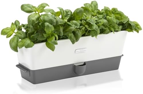 Cole & Mason Burwell Self-Watering Potted Herb Keeper by Unknown