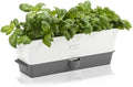 Cole & Mason Burwell Self-Watering Potted Herb Keeper by Unknown
