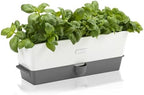 Cole & Mason Burwell Self-Watering Potted Herb Keeper by Unknown