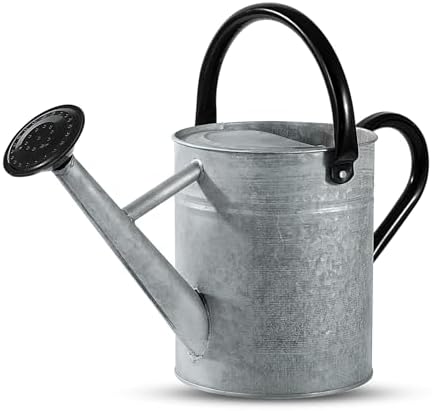 1 Gallon Watering Can for Plants, Watering Cans for Indoor&Outdoor Gardening, Galvanized Steel Watering Pot with Removable Spout, Metal Water Can with Ergonomic Movable Handle(Rustic Silver) by Unknown