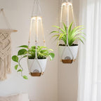 2 Pack Self Watering Hanging Planters with Grow Light for Indoor Plants by Unknown