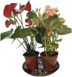4 Pack 14inch Decorative Sturdy Plant Saucer,Antique Silver Plastic Plant drip Tray Stylish Round Plant Tray - Image 6