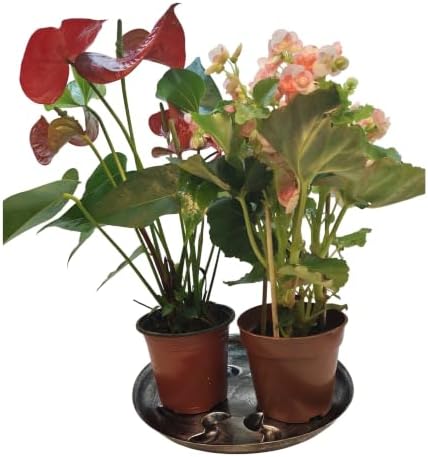4 Pack 14inch Decorative Sturdy Plant Saucer,Antique Silver Plastic Plant drip Tray Stylish Round Plant Tray - Image 6