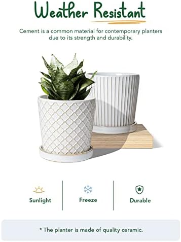 LE TAUCI Ceramic Pots for Plants, 5.4 Inch Plant Pots with Drainage Hole and Saucer, Indoor Plant Pots for Succulent, Snake Plants and Cactus, Flower Pots, Set of 2, Reactive Glaze White - Image 4