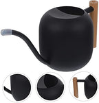 Long Spout Metal Watering Can with Wooden Handle Ergonomic Design for Indoor Plants Flowers Succulents Sturdy Precise Watering Tool for - Image 2
