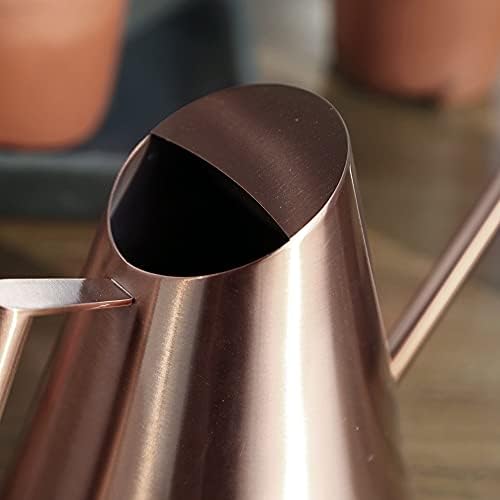 Stainless steel watering can gardening potted small watering can use handle is very suitable for watering plants shower garden silver- 1500ml - Image 5