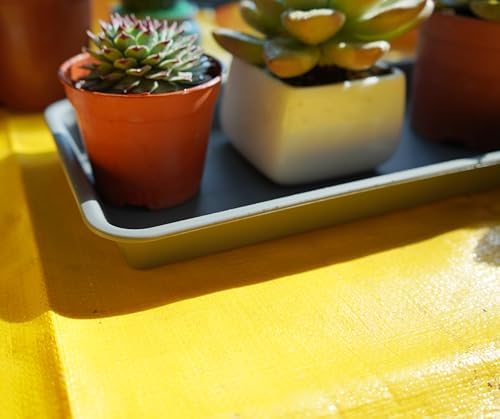 VUWEZ 2 Pack of Plastic Plant Tray Saucer Rectangular 30 inch, Planter Trays Saucers for Indoors Outdoor, Plant Water Drip Tray for Flower Pot Planter, Windowsill Pots Trays (8 X 30'', Gray) - Image 4