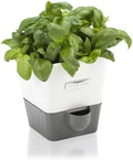 Cole & Mason Self-Watering Single Potted Herb Keeper, Indoor Herb Box, 21 cm, White/Grey, Self Watering, Includes 4 x Pads by Unknown
