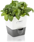 Cole & Mason Self-Watering Single Potted Herb Keeper, Indoor Herb Box, 21 cm, White/Grey, Self Watering, Includes 4 x Pads by Unknown