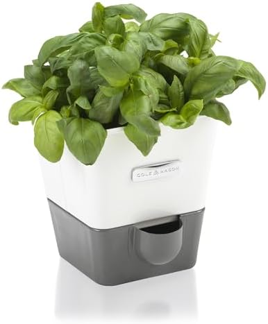 Cole & Mason Self-Watering Single Potted Herb Keeper, Indoor Herb Box, 21 cm, White/Grey, Self Watering, Includes 4 x Pads by Unknown
