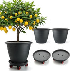RooTrimmer 3 Pack 16 Inch Rolling Large Plant Pots by RooTrimmer