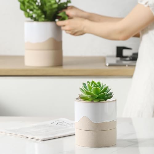 Nihow Self Watering Ceramic Planter, 4.5+6 Inch, White & Nature - Image 7