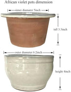 African Violet Pots Self Watering White 6 inch - Image 2