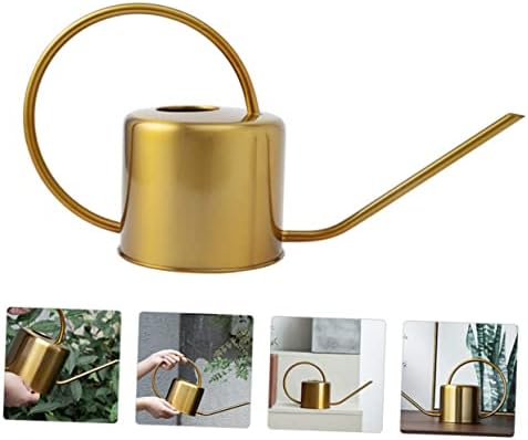 GALPADA Stainless Steel Watering Kettle Long Spout Sturdy 1L Watering Can for Indoor and Outdoor Plants Practical Garden Tool for Plant Care - Image 3