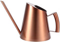 Metal Watering Can, Large Plant Watering Can Water Can with Long Spout for Indoor Outdoor Plants Bonsai Succulent Flower (1200ml/42oz) by ExploreFromOrfaty