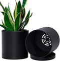 D'vine Dev 2-Pack Black Plastic Planters with Saucers, 6.5 in, 74-Y-L-1 by DvineDevPlanterPotsandStand