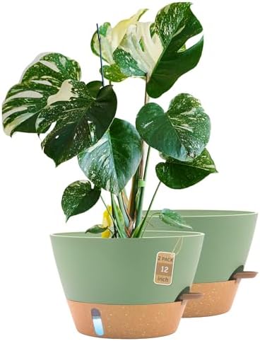 12 Inch Self Watering Pot with Visual Water Window, Drainage Holes & Watering Lip, Set of 2 Large Plastic Planters for Indoor Outdoor Plants, Modern Decorative Flower Pot (Green) by FIASON