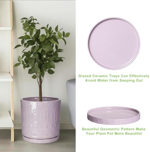 Eightpot 2 Pack Plant Trays for Pots, 7.5 Inch Plant Plates to Catch Water for Indoor Outdoor, Round Plants Water Catcher Tray, Boho Flower Pot Saucer, Decorative Plants Dishes to Catch Water, Purple - Image 5