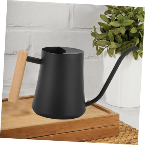 Watering Can and Wooden Handle with Long Spout Vintage Stainless Steel - Image 5