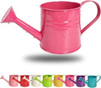 Green 1l Small Watering Can – Retro Metal,Sprinkler Head,Spray Spout for Indoor Plants,Kids,Outdoor Flowers & House by Unknown
