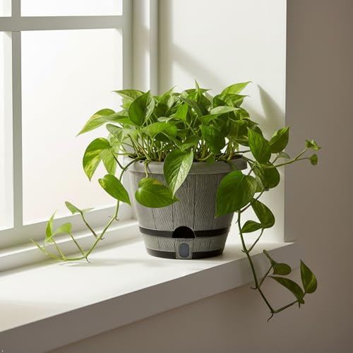 Sun-E 10" Self-Watering Whiskey Barrel Planter 3 Pack for Indoor Outdoor - Image 6