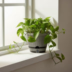 Sun-E 10" Self-Watering Whiskey Barrel Planter 3 Pack for Indoor Outdoor - Image 6
