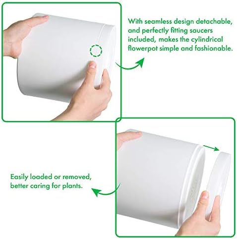 D'vine Dev 3-Pack Plastic Pots & Saucers, 6.5/8/10 in, White, 74-V-A-4 - Image 6