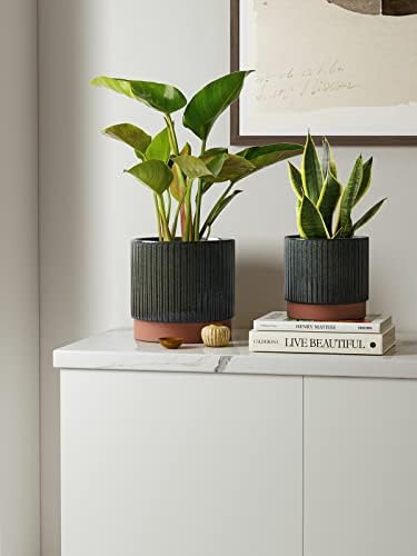 LE TAUCI Ceramic Plant Pots with Drainage Holes, Set of 3, 8+6.7+5.5 Inch Stripe Garden Planter Pots for Outdoor Indoor Plants Flower, Round Succulent Orchid Flower Pot, Reactive Glaze Black - Image 2