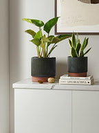 LE TAUCI Ceramic Plant Pots with Drainage Holes, Set of 3, 8+6.7+5.5 Inch Stripe Garden Planter Pots for Outdoor Indoor Plants Flower, Round Succulent Orchid Flower Pot, Reactive Glaze Black - Image 2
