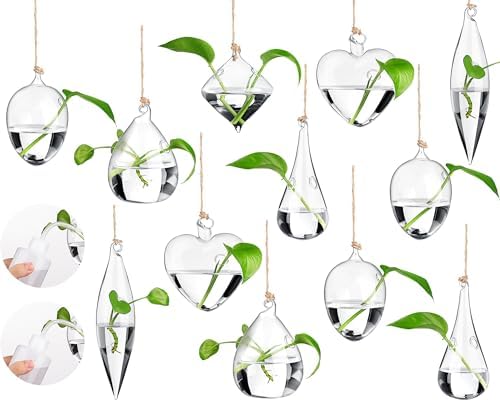 Zopeal 6 Set Wall Hanging Glass Planter Terrarium Propagation Station Vase Container Watering Squeeze Bottle with Rope and Hook for Hydroponic Plants Flower Home Decor Gifts (Classic Style) by Zopeal