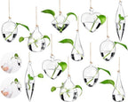 Zopeal 6 Set Wall Hanging Glass Planter Terrarium Propagation Station Vase Container Watering Squeeze Bottle with Rope and Hook for Hydroponic Plants Flower Home Decor Gifts (Classic Style) by Zopeal