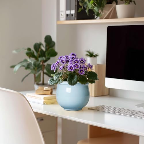 Ceramic African Violet Pots for Indoor Plants, 6 Inch Self Watering Planters with Absorbent Inner Pot, Self Watering Plant Pot, Ceramic Flower Pots, Desk Decor, Housewarming Gifts, Light Blue - Image 3