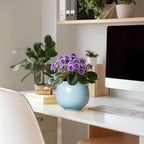 Ceramic African Violet Pots for Indoor Plants, 6 Inch Self Watering Planters with Absorbent Inner Pot, Self Watering Plant Pot, Ceramic Flower Pots, Desk Decor, Housewarming Gifts, Light Blue - Image 3