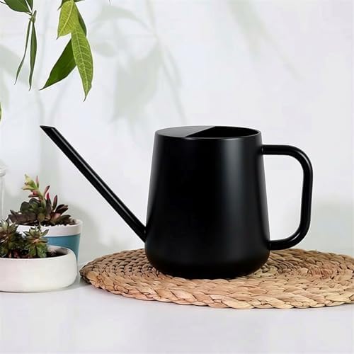 Watering Can Indoor Small for House Plant with Long Spout Stainless Steel 1000ml for Flowers Small Stainless Steel Watering Can - Image 7