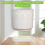 Eightpot Plant Drip Tray - Ceramic Plant Saucer for Outdoors 9.3 Inch Plant Tray for Indoors No Holes Plant Pot Saucer Plant Dishes to Catch Water Round Plant Drainage Trays, Cream White - Image 3