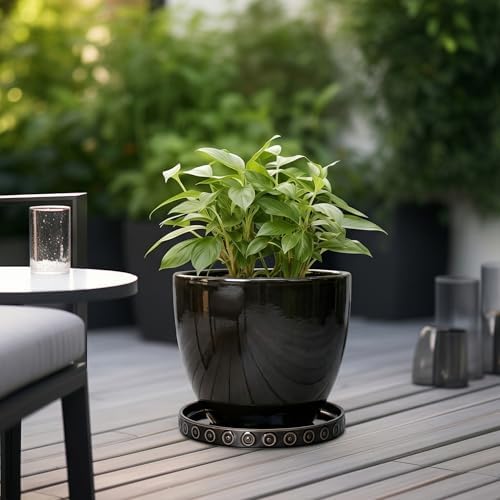 Eightpot 11.4 Inch Plant Pot Saucers, Plant Drip Trays for Indoor Outdoors, Round Ceramic Plant Saucer, Modern Plants Plates to Catch Water, Decorative Plants Dishes to Catch Water, Black - Image 4