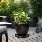 Eightpot 11.4 Inch Plant Pot Saucers, Plant Drip Trays for Indoor Outdoors, Round Ceramic Plant Saucer, Modern Plants Plates to Catch Water, Decorative Plants Dishes to Catch Water, Black - Image 4