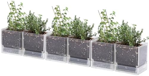 D'vine Dev 6-Pack Acrylic Herb Planter Pots, 4 in, Clear, 76-Y-D-1 by DvineDevPlanterPotsandStand