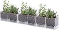 D'vine Dev 6-Pack Acrylic Herb Planter Pots, 4 in, Clear, 76-Y-D-1 by DvineDevPlanterPotsandStand