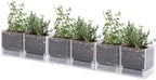 D'vine Dev 6-Pack Acrylic Herb Planter Pots, 4 in, Clear, 76-Y-D-1 by DvineDevPlanterPotsandStand