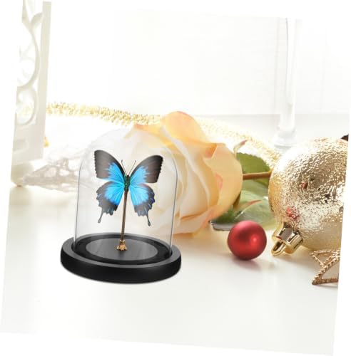 Mikinona Small Glass Dome Display Case with Black Base for Decor - Image 5