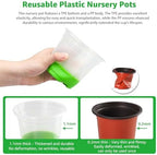 MIXC Clear Nursery Pots with Silicone Base, 5-Inch, 30-Pack - Image 4