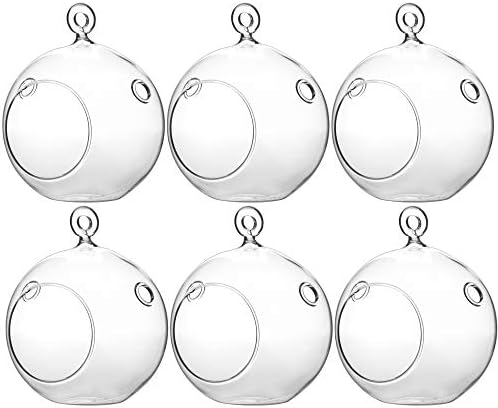 WGV Hanging Terrarium Globe, Width 4", Height 4.75", DIY Air Succulent Planter, Clear Glass Vase Orb with Flat Bottom, Candle Holder for Windowsill Outdoor Garden Decor, 6 Pieces Bulk by WGVInternational-OpusGlassware