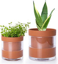 Phoenix Vine 4 Inch 6 Inch Self Watering Planter Pots, Terracotta Clay Pots with Glass Reservoir for Indoor Plants, Herbs, Flowers, 52-A-G-46 by Phoenix+Vine