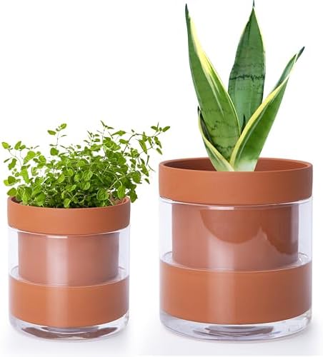 Phoenix Vine 4 Inch 6 Inch Self Watering Planter Pots, Terracotta Clay Pots with Glass Reservoir for Indoor Plants, Herbs, Flowers, 52-A-G-46 by Phoenix+Vine