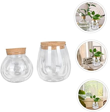 2pcs Glass Hydroponic Plant Bottle Decorative Container - Image 5