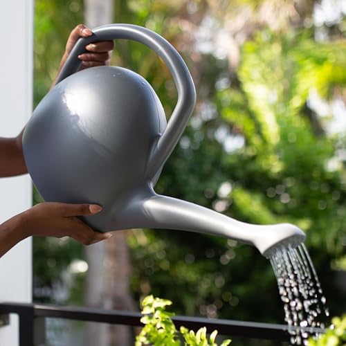 Bloem Rhino Watering Can: 2 Gallon Capacity - Charcoal - 100% Recycled Plastic Can, Easy Water Spout, One Piece Construction, for Indoor and Outdoor Use, Gardening - Image 2