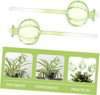 Cactus Shape Glass Watering Globes 4pcs for Potted Plants - Image 6