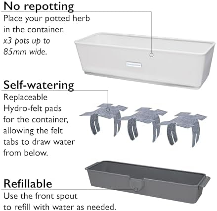 Cole & Mason Burwell Self-Watering Potted Herb Keeper - Image 5
