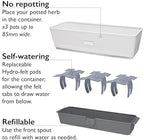Cole & Mason Burwell Self-Watering Potted Herb Keeper - Image 5